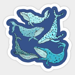 Blue Whales Sticker